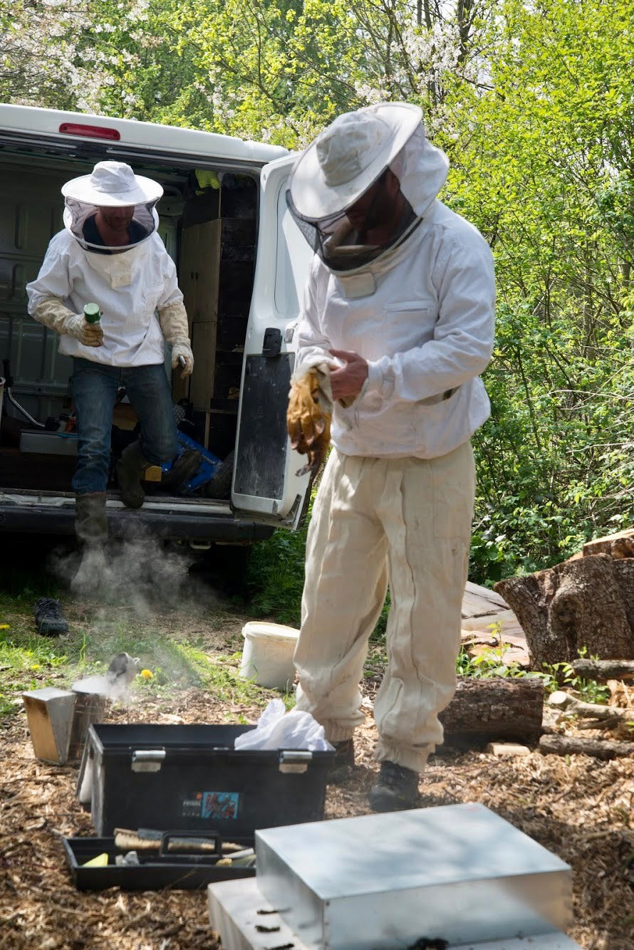 Notre histoire : deux frères devenus apiculteurs grâce à un verger familial