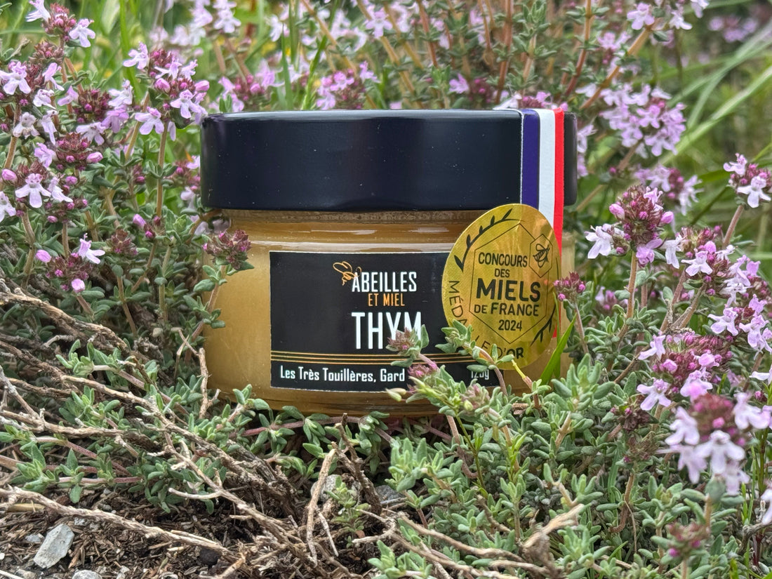 Pourquoi choisir un miel de thym des Cévennes plutôt qu’un miel de jujubier ?