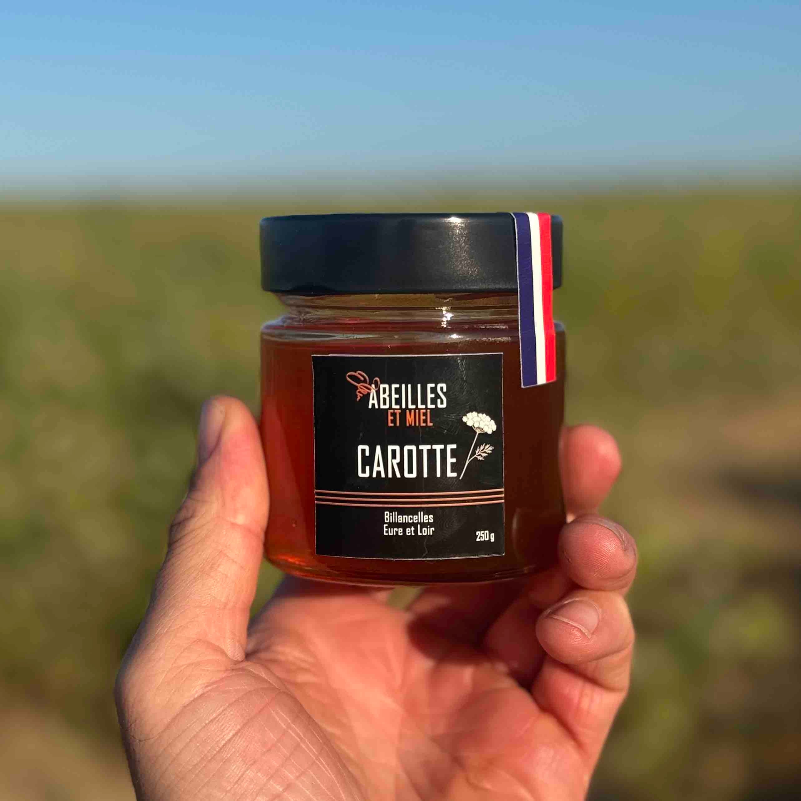 Miel de carotte : un miel rare et aromatique récolté en Eure-et-Loir