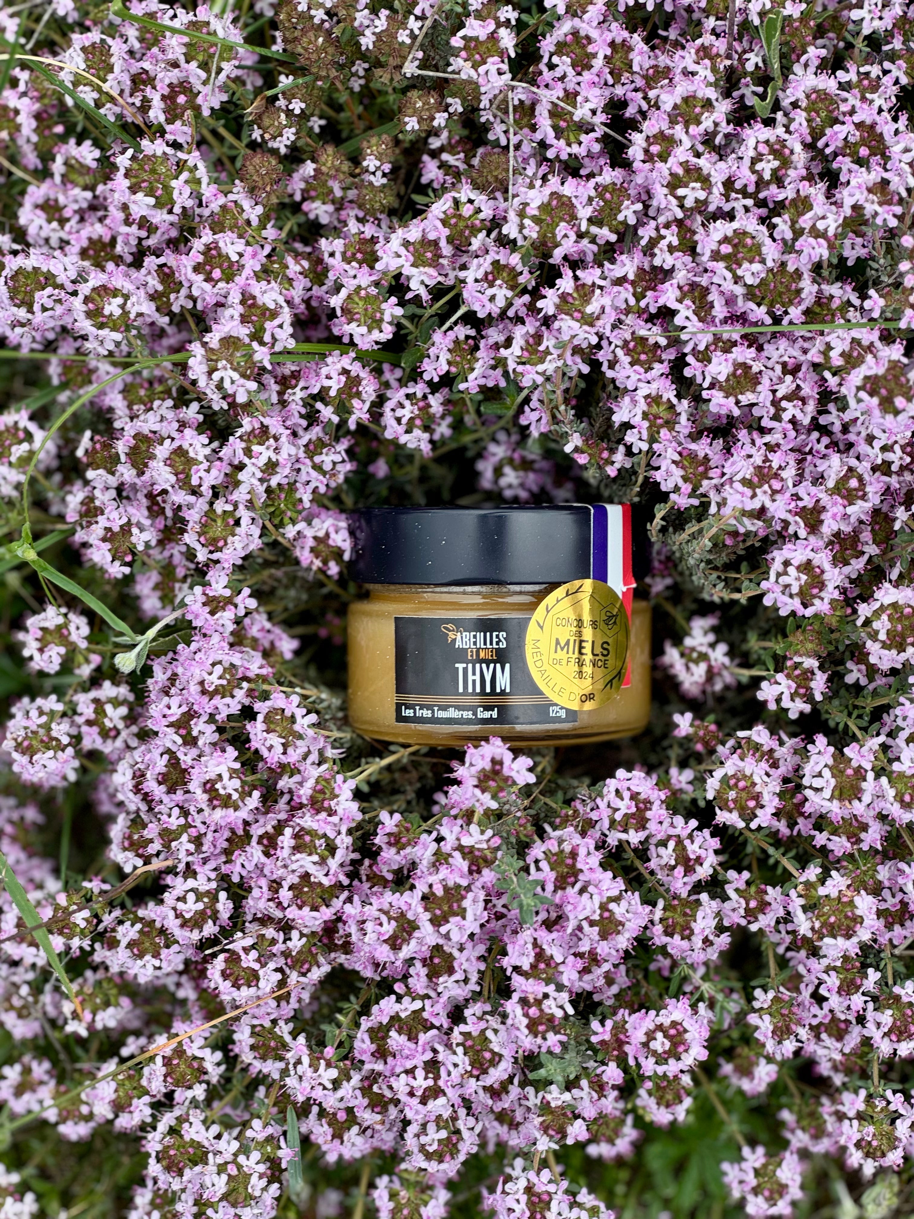 Miel de thym des Cévennes – variété rare au thym à thymol, récoltée par les apiculteurs d’Abeilles et Miel, puissant et aromatique.