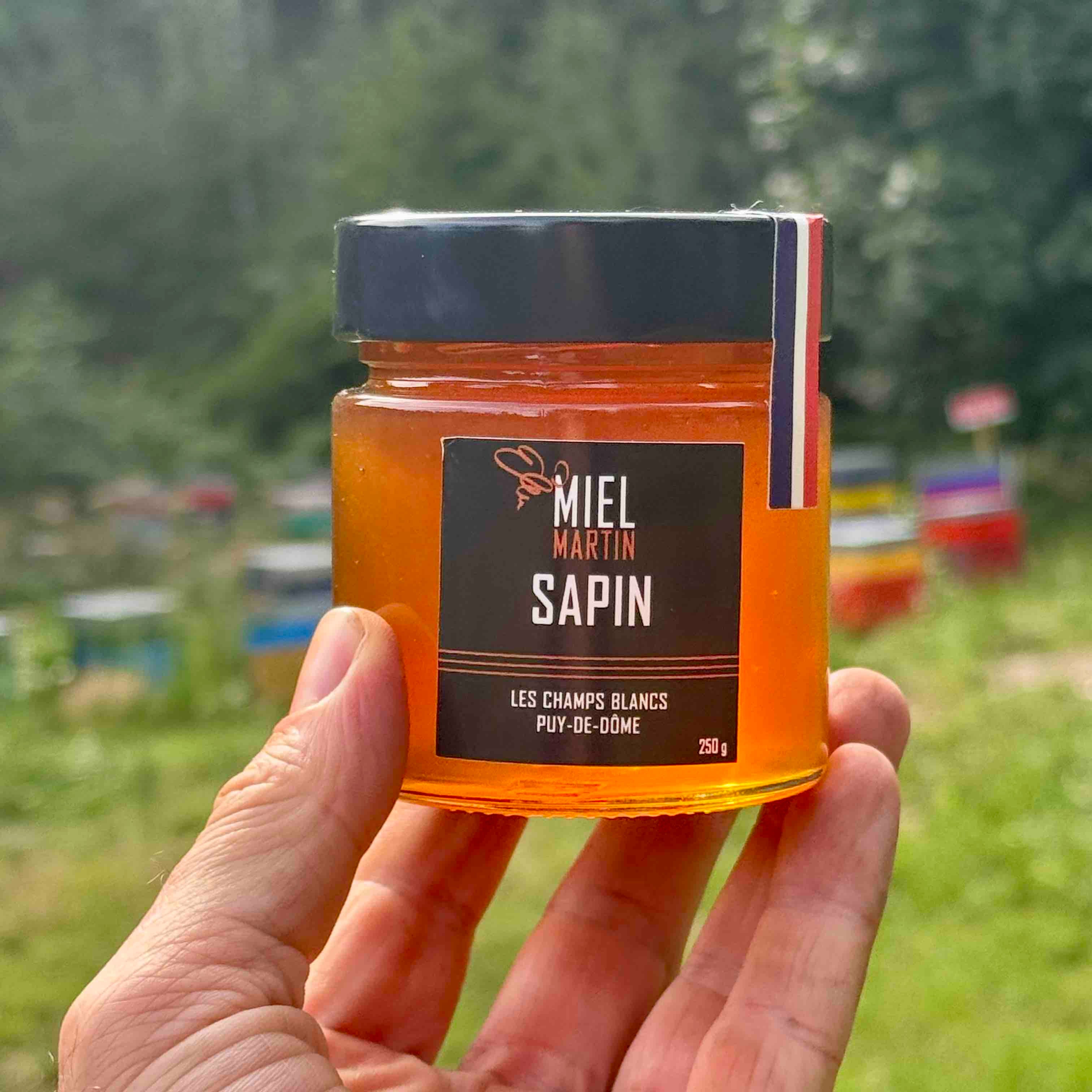 Miel de Sapin