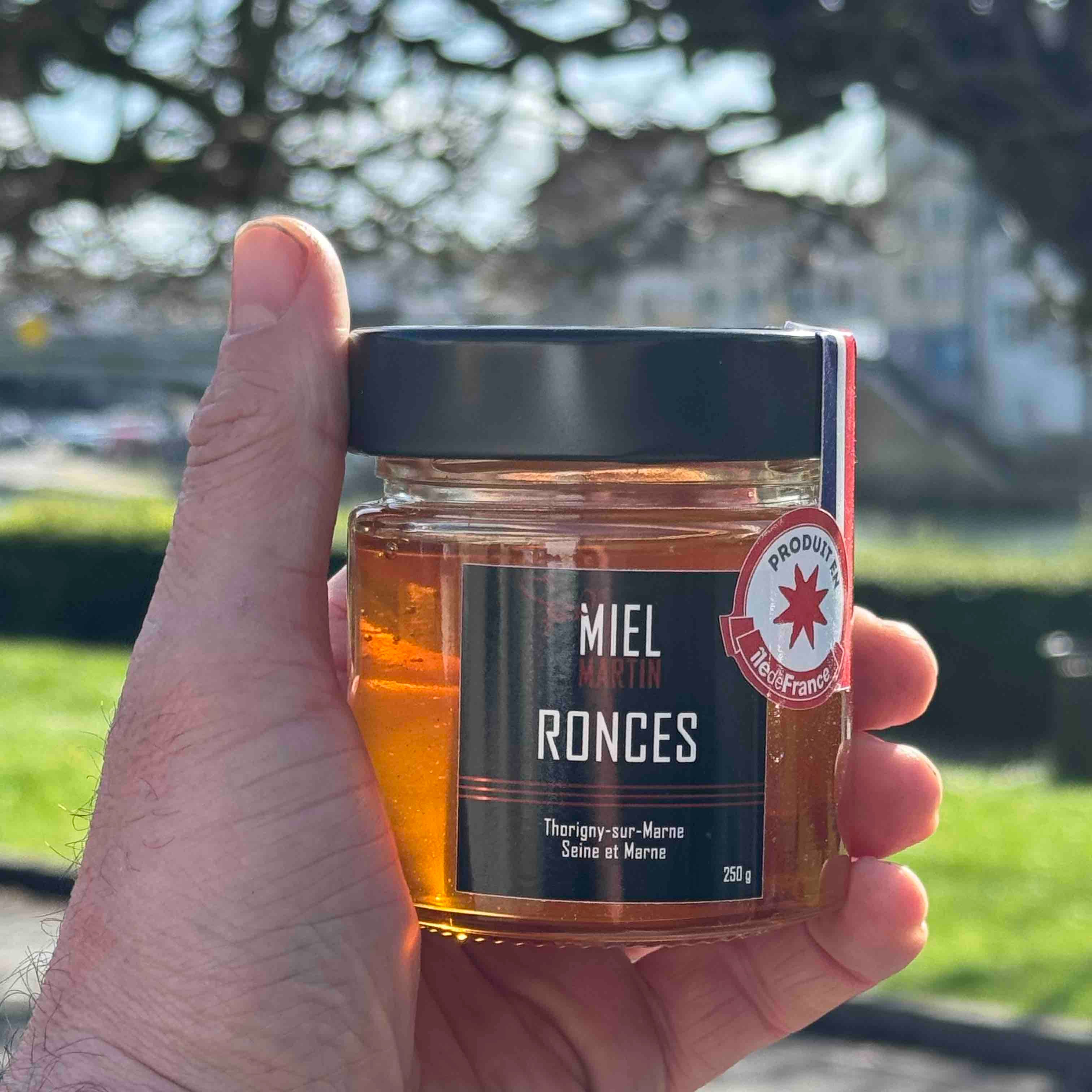 Miel de Ronce de Thorigny-sur-Marne  Boisé & Fruité